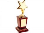Награда «Звезда» на постаменте (золотая)
